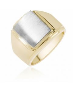 Signet Ring Cushion Face