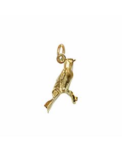 10K Yellow Gold 3D Canary Charm