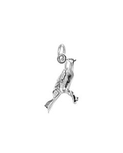 Silver 3D Canary Charm