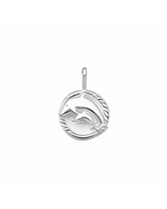 Silver Dolphin and Baby in a Small Circle Charm