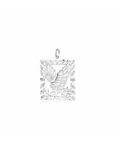 Silver Eagle in a Rectangular Pendant