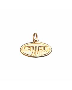 10K Yellow Gold French Charm (Meilleur Ami)