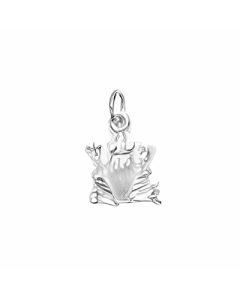 Silver Frog Charm