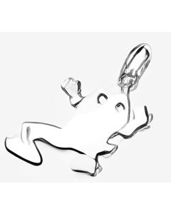 Silver Frog Charm
