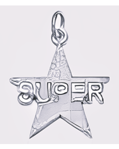 10K White Gold Super Star Charm