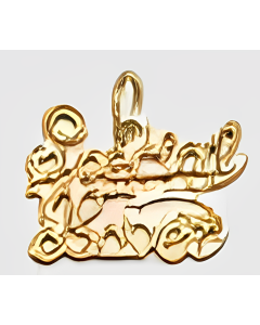 10K Yellow Gold "Special Lover" Charm