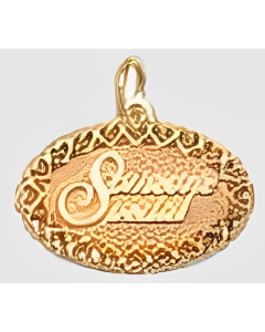 10K Yellow Gold "Someone Special" Charm