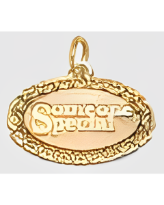 10K Yellow Gold "Someone Special" Charm