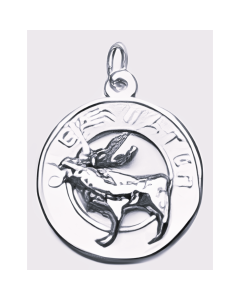 Silver Vancouver Clear Water Charm