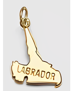 10K Yellow Gold Labrador Map Charm