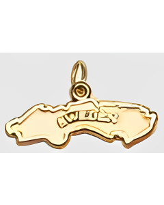 10K Yellow Gold Map of Sweden Charm