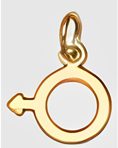 10K Yellow Gold Male Symbol Charm