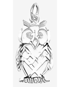 Silver Owl Charm
