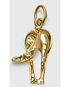 10K Yellow Gold Horse's Behind Charm