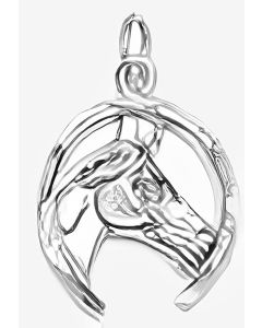 Silver Horse's Head in a Horseshoe Pendant
