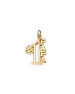 10K Yellow Gold "#1 PAPA" Charm