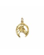 10K Yellow Gold Horse's Head in a Horseshoe Pendant