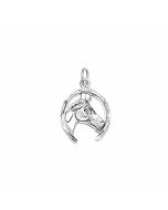 Silver Horse's Head in a Horseshoe Pendant