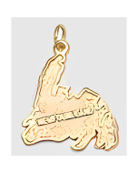 10K Yellow Gold Newfoundland Map Charm