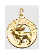 10K Yellow Gold Vancouver Clear Water Charm