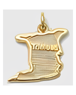 10K Yellow Gold Trinidad Charm