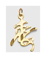 10K Yellow Gold Chinese Charm (Long Life)