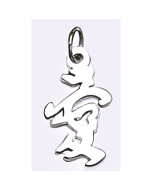 Silver Chinese Charm (Love)