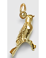 10K Yellow Gold 3D Canary Charm