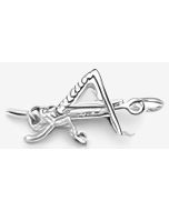 Silver 3D Grasshopper Charm