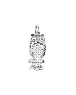 Silver Owl Charm